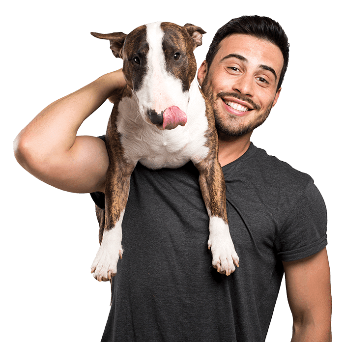 Economizer HVAC is Pet Friendly